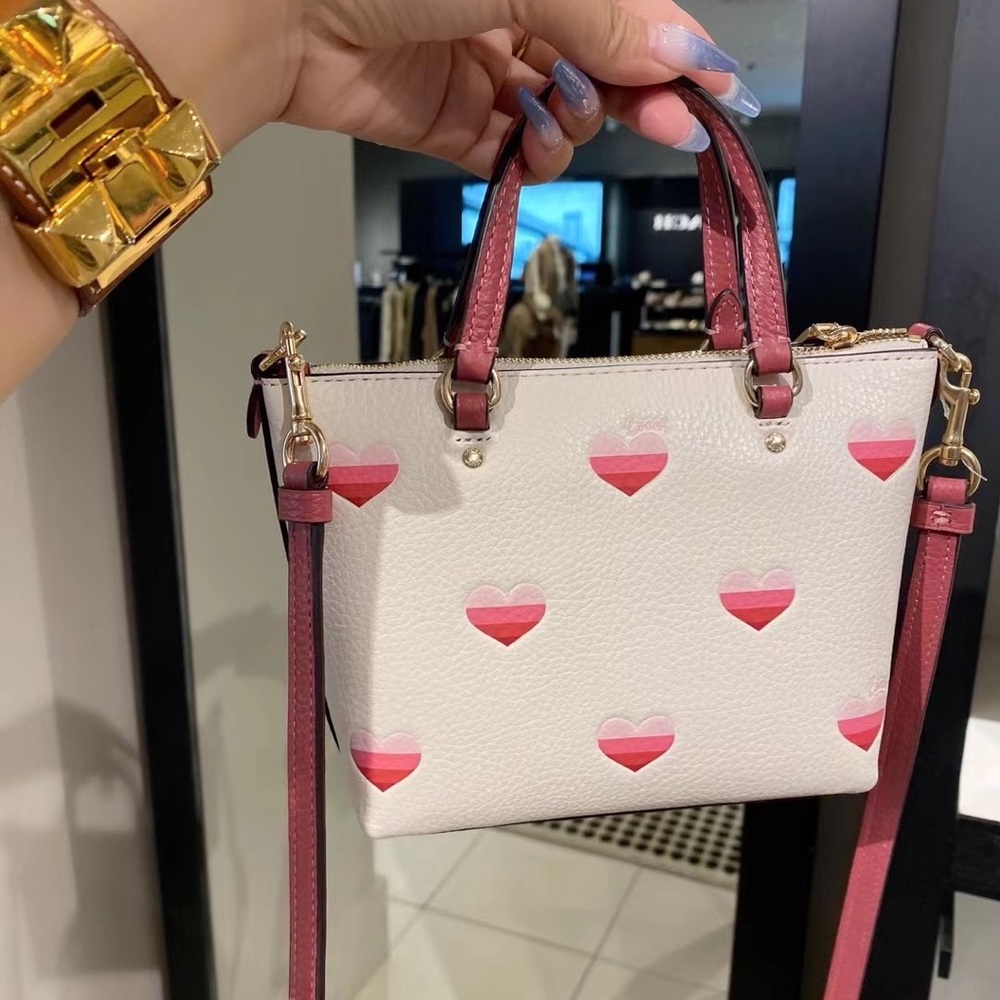 NWT Coach Mini Gallery Crossbody With Stripe Heart Print CA793